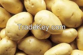 Fresh potatoes all types and sizes