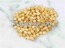 Sorghum Seeds for sale