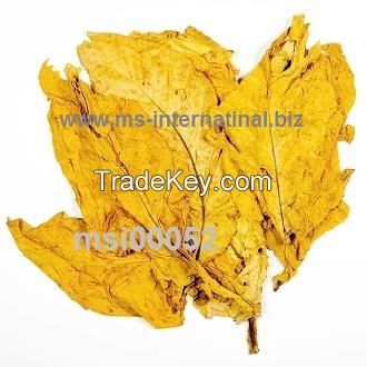 manufacturer , exporter and supllier of tobacco leaf