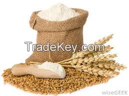 Wheat Flour- Very Competitive Price & Quality