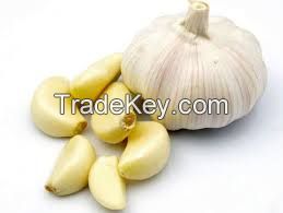 Fresh Garlic-Most Competitive Quality & Pricing