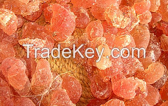 Competitive Gum Arabic  Price