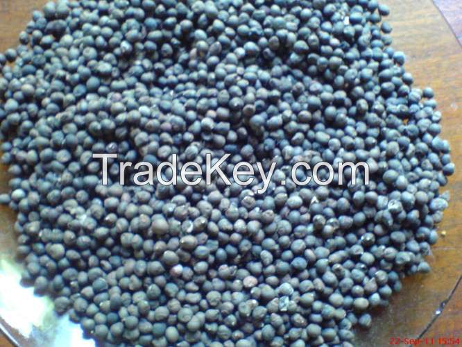 Goog quality Kapok Seed