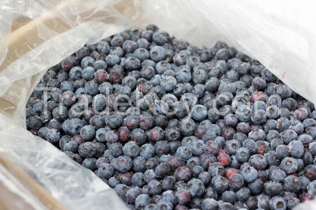 Fresh and frozen blueberry