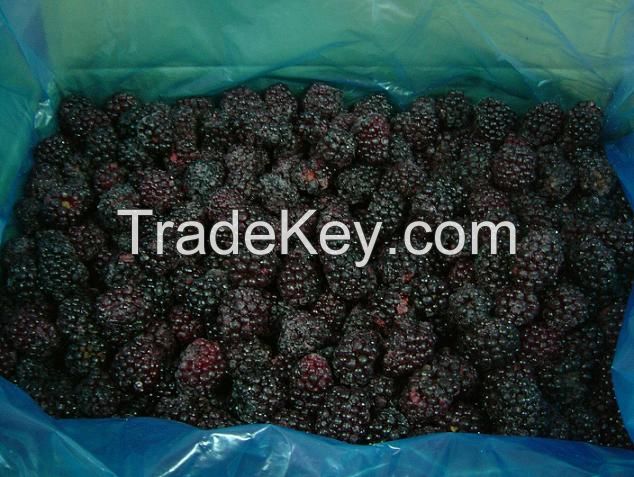Fresh and frozen blackberry