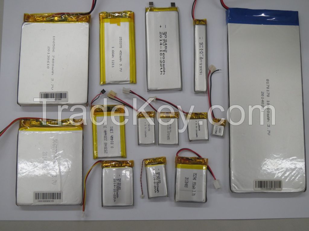 Li Polymer Battery Manufacture