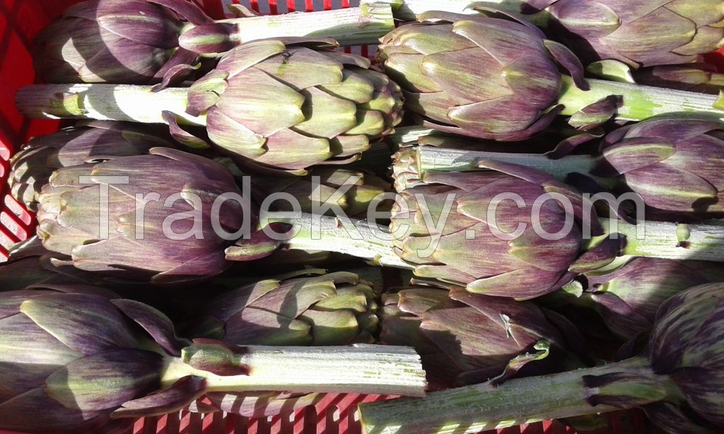 artichoke