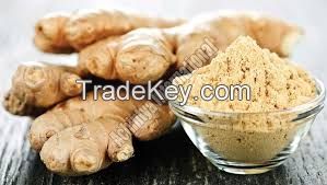 high quality dried ginger powder