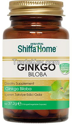 Ginkgo Biloba Extract Capsule Biologically Active Food Supplements