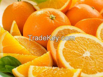 fresh orange for sell