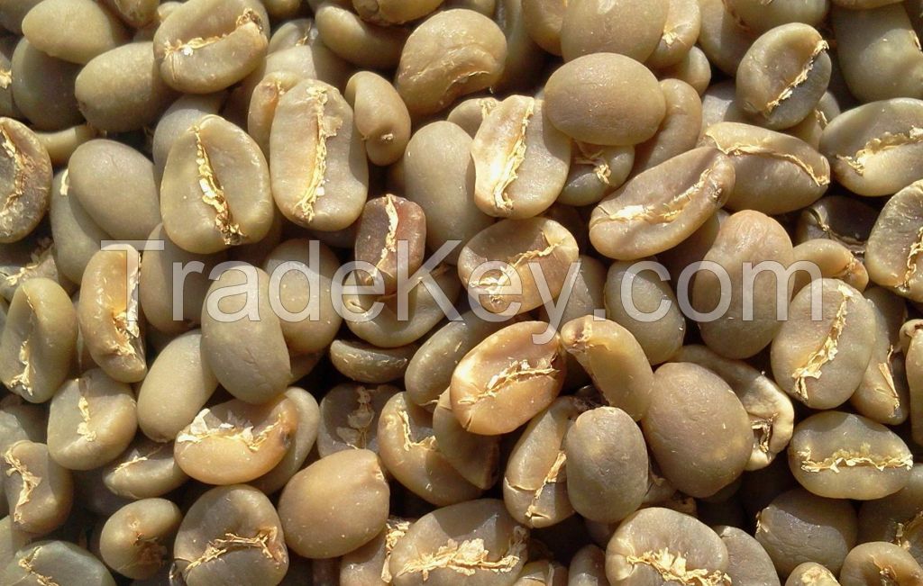 Sell Robusta Coffee Beans