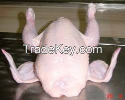 Sell Halal Frozen Whole Chicken and Parts / Gizzards / Thighs / Feet / Paws /