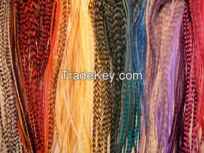 Grizzly Rooster Feathers Long Feathers for Hair Feather Extensions
