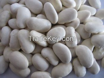 2015 new crop butter bean