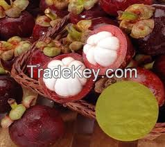 2015 New products Mangosteen Extract natural organic fruit concentrate powder