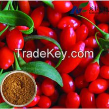 2015 hot sale Pure Organic Barbary Wolfberry Fruit P.E.