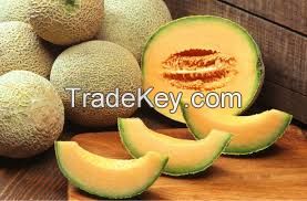 Fresh Melon  HIGH GRADE A FOR SALE Hot Sales
