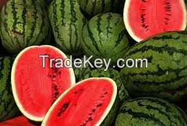 Fresh Watermelon New crop Fresh Fruit-Water Melon