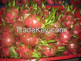 fresh dragon fruit for sale