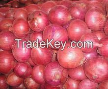 2015 crop fresh red onion in mesh bag with cheap price