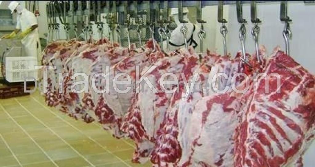 FROZEN BEEF MEAT AND CARCASSES (ALL PARTS)