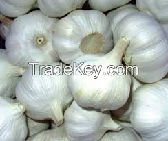 Natural white garlic fresh garlic onion garlic fruits vegetable for sale