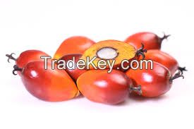 Grade A Palm Nut Kernels for sale