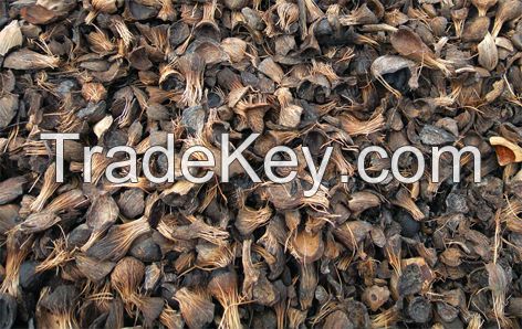 Palm Kernel Shell for sale