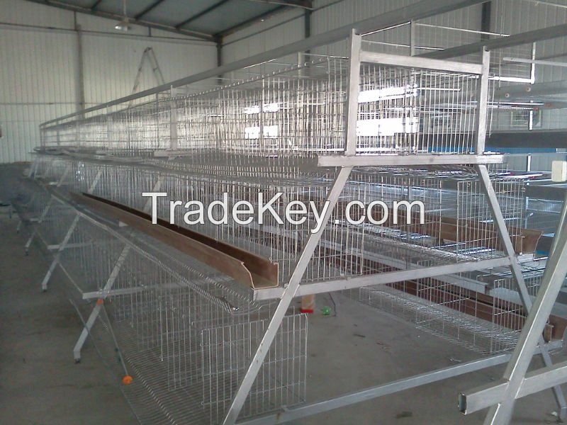 Chicken Egg Laying Cage for Farm