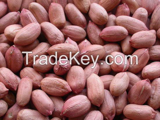 Grade A peanuts for sale