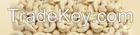 High quality Cashew Nut Kernels W320