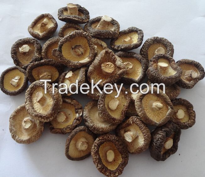 dried morel mushrooms for sale price of black morel mushroom