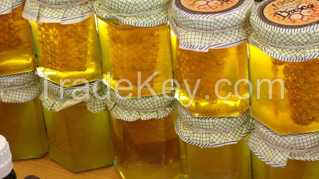 Hot sale fresh premium quality organic pure natural honey