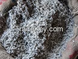 Cotton Seeds for sale