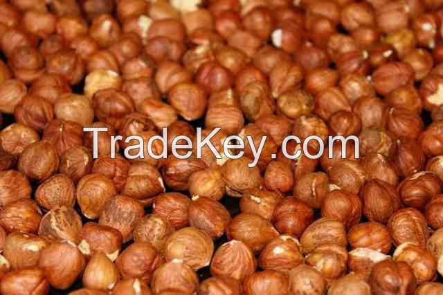 Hazelnut for sales