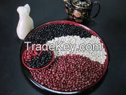 Red , White , Black , Brown Kidney Beans for sale
