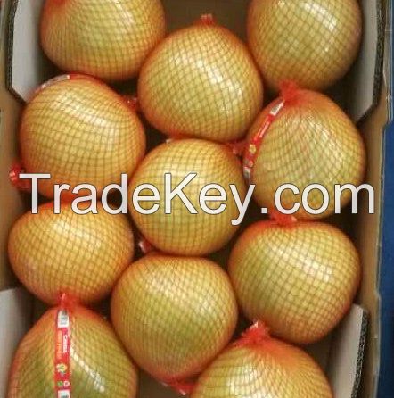 fresh pomelo