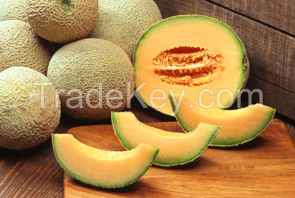 fresh  Cantaloupe