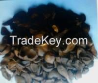 Palm Kernel Shell and cashew nuts