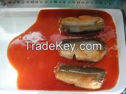 canned mackerel in tomato sauce, Canned Tomato Paste, Canned Mushroom, Canned Nameko, 