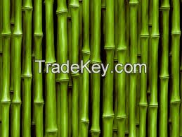fresh and dry Bamboo pole, Ash Logs, round bamboo, timber