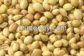 Coriander Seeds , rape seeds, onion seeds, safflower seeds, castor seeds