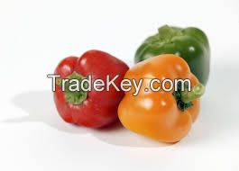 green color sweet pepper seeds hybrid pepper seeds