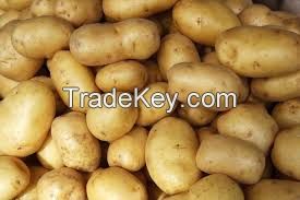 fresh potato for sale