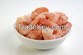 frozen tiger prawn