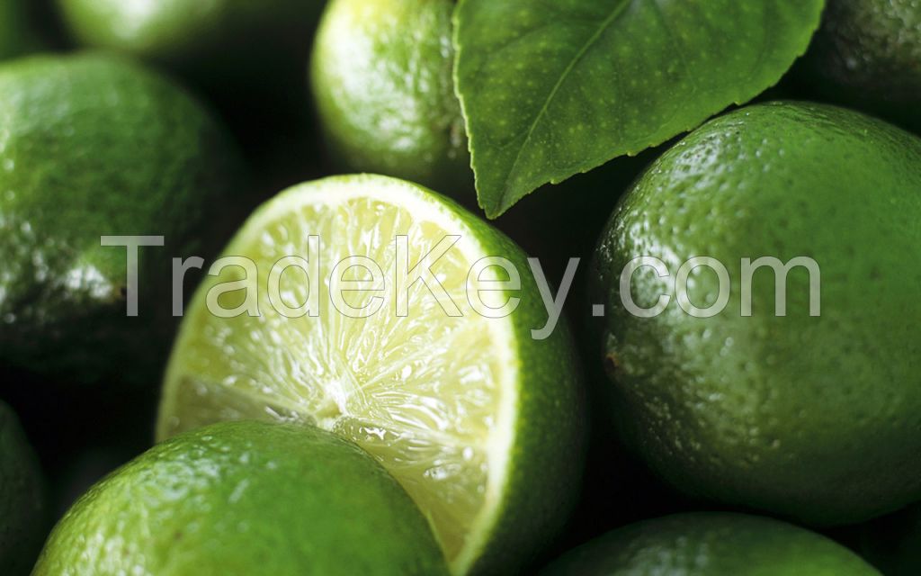 Good Quality Fresh Lemon