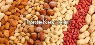 Almond Nuts, Cashew Nuts, Pistachios, Bettel Nuts, Brazil Nuts and All Nut