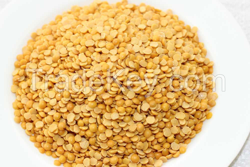 Yellow Lentils