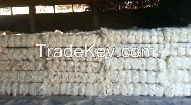 Clean sisal fiber grades UG and SSUG from Kenya