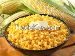 Manufacture and exporter Corn ( Starch, grain, byproduct, ...)